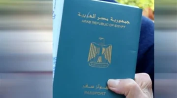 إجراءات مبسطة.. استخراج وتجديد جواز السفر أونلاين عبر وزارة الداخلية 2025